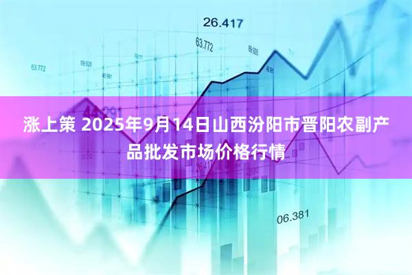 涨上策 2025年9月14日山西汾阳市晋阳农副产品批发市场价格行情