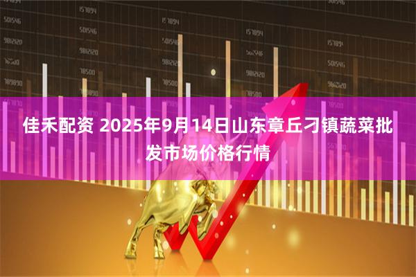 佳禾配资 2025年9月14日山东章丘刁镇蔬菜批发市场价格行情