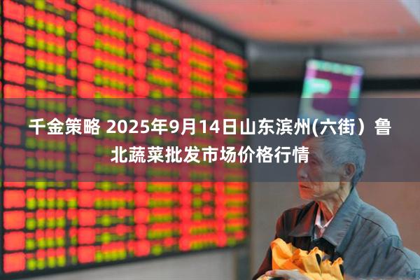 千金策略 2025年9月14日山东滨州(六街）鲁北蔬菜批发市场价格行情