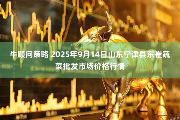 牛顾问策略 2025年9月14日山东宁津县东崔蔬菜批发市场价格行情