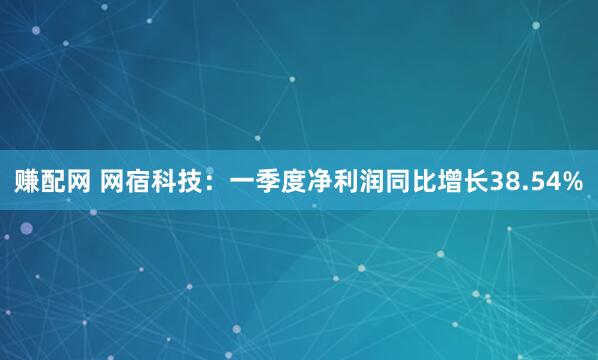 赚配网 网宿科技：一季度净利润同比增长38.54%