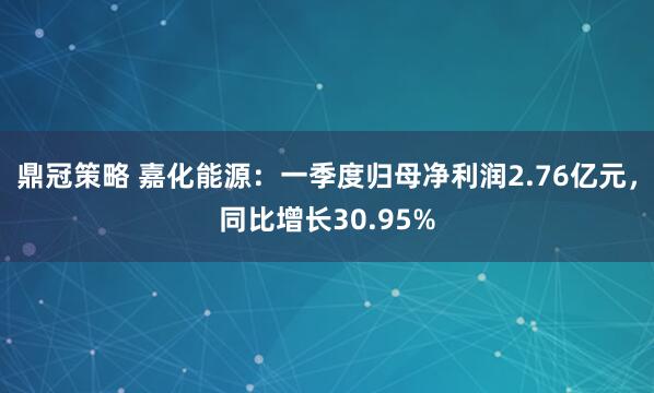 鼎冠策略 嘉化能源：一季度归母净利润2.76亿元，同比增长30.95%