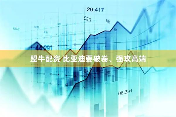 盟牛配资 比亚迪要破卷、强攻高端
